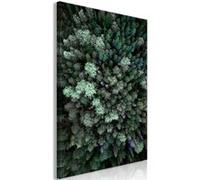 Tableau Imprimé "Flying Over Forest" 80 x 120 cm Multicolore G