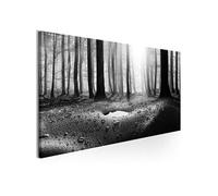 Tableau Imprimé "Forest After Rain Narrow" 45 x 135 cm