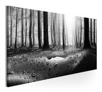 Tableau Imprimé "Forest After Rain Narrow" 45 x 135 cm Multicolore G