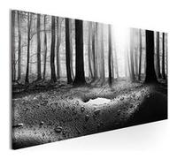 Tableau Imprimé "Forest After Rain Narrow" 50 x 150 cm