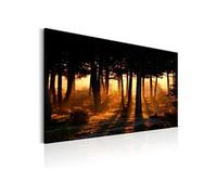 Tableau Imprimé "Forest Dawn" 60 x 90 cm