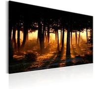 Tableau Imprimé "Forest Dawn" 60 x 90 cm Multicolore G