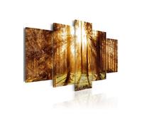 Tableau Imprimé "Forest Illumination" 50 x 100 cm Multicolore G