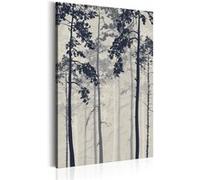 Tableau Imprimé "Forest in Fog" 80 x 120 cm Multicolore G