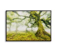 Tableau Imprimé "Forêt" 90x60cm Vert