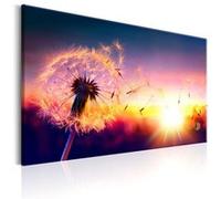 Tableau Imprimé "Freedom of Nature" 80 x 120 cm Multicolore G