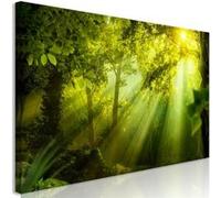 Tableau Imprimé "In the Sunshine Narrow" 40 x 120 cm