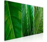 Tableau Imprimé "Leaves Collection" 60 x 120 cm Multicolore G