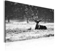 Tableau Imprimé "Lying Deer" 60 x 90 cm