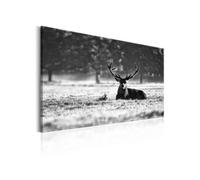 Tableau Imprimé "Lying Deer" 80 x 120 cm