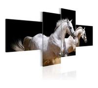Tableau Imprimé "Monde des Animaux Chevaux au Galop" 90 x 200 cm Imprimé G