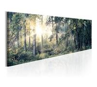 Tableau Imprimé "Morning Magic" 50 x 150 cm Multicolore G