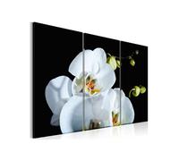 Tableau Orchidée blanche comme neige-Taille L 120 x H 80 cm Imprimé