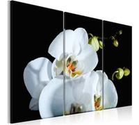 Tableau Orchidée blanche comme neige-Taille L 120 x H 80 cm Imprimé