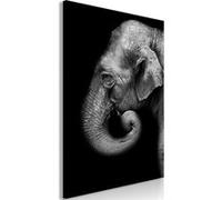 Tableau Imprimé "Portrait of Elephant" 80 x 120 cm Multicolore G