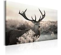 Tableau Imprimé "Powerful Horns" 80 x 120 cm Multicolore G