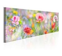 Tableau Imprimé "Rainbow of Morning Poppies" 45 x 135 cm Multicolore G