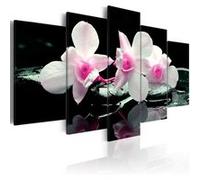 Tableau Imprimé "Rest of Orchids" 100 x 200 cm Multicolore G