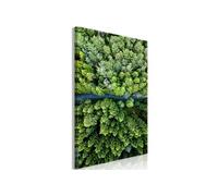 Tableau Imprimé "Road Through Forest" 40 x 60 cm