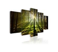 Tableau Imprimé "Silence de Printemps" 50 x 100 cm Multicolore G