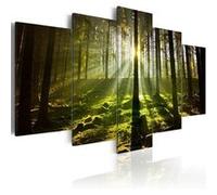 Tableau Silence de printemps-Taille L 100 x H 50 cm Imprimé