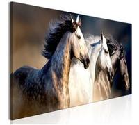 Tableau Imprimé "Sons of the Wind Narrow" 40 x 120 cm