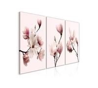 Tableau Imprimé "Spring Magnolias 3 Panneaux" 60x120cm