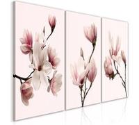 Tableau Imprimé "Spring Magnolias 3 Panneaux" 60x120cm