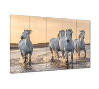 Tableau imprimé sur toile Wall Art Decor 100x70cm Chevaux sauvages n ° H8236Y_PC5U