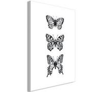 Tableau Imprimé "Three Butterflies" 40 x 60 cm Multicolore G