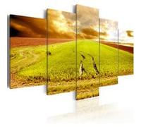 Tableau Imprimé "Traces des Roues dans un Champ" 50 x 100 cm Multicolore G