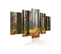 Tableau Imprimé "Un Joli Paysage de Forêt" 100 x 200 cm