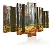 Tableau Imprimé "Un Joli Paysage de Forêt" 50 x 100 cm Multicolore G