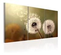 Tableau - Whisper of Summer - 120x60 (10571)