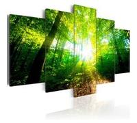 Tableau Wonderful Morning-Taille L 100 x H 50 cm Imprimé G