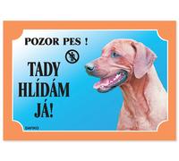 Tableau Je regarde ici ! Rhodesian Ridgeback 1pc