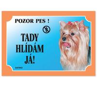 Tableau Je regarde ici ! Yorkshire Terrier 1pc