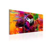 Tableau - Jungle of Colours - 60x30 (5388)