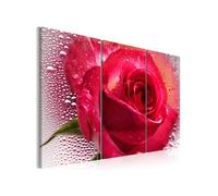 Tableau Lady Rose triptych-Taille L 60 x H 40 cm