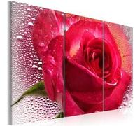 Tableau Lady Rose triptych-Taille L 60 x H 40 cm Imprimé
