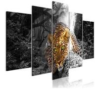 Tableau Leopard Lying (5 Parts) Wide Grey-Taille L 200 x H 100 cm Imprimé G