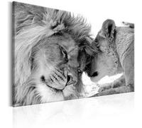 Tableau - Lion's Love - 60x40 Artgeist (5689) Multicolore G