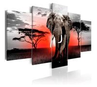 Tableau Lonely Elephant 200x100 cm - Tableau deco