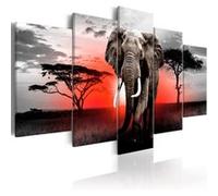 Tableau Lonely Elephant-Taille L 100 x H 50 cm Imprimé G