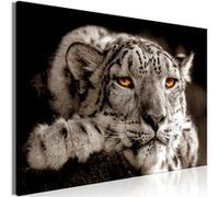 Tableau - Magic Eyes (1 Part) Wide - 90x60 Artgeist (5918) Multicolore G