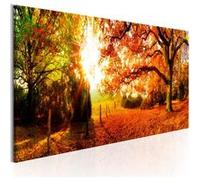 Tableau - Magic of Autumn - 120x40 Artgeist (5933) G