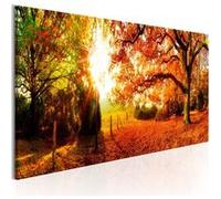 Tableau Magic of Autumn-Taille L 150 x H 50 cm Imprimé G