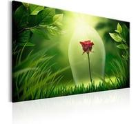 Tableau Imprimé "Magical Rose" 80 x 120 cm Multicolore G