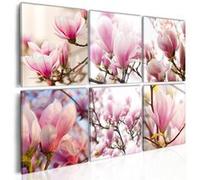 Tableau Magnolias dans le Sud-Taille L 60 x H 40 cm Multicolore G