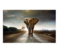 Tableau moderne elephant on the road, 80x50cm